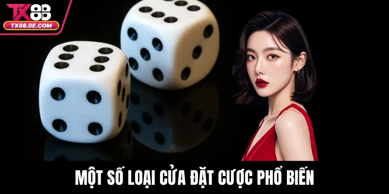 Tài Xỉu TX88 - Hướng Dẫn Chi Tiết Dành Cho Người Mới - hovigu Tài Xỉu TX88 - Hướng Dẫn Chi Tiết Dành Cho Người Mới - hovigu