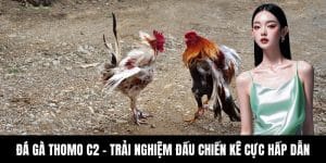 Game Hot TX88 – Trò Chơi Giải Trí Đỉnh Cao, Thưởng Cực Lớn - hovigu