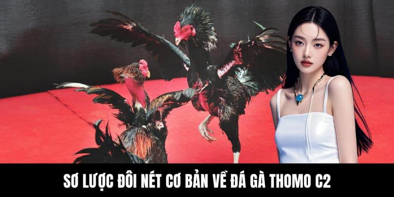 Đá Gà Thomo C2 - Trải Nghiệm Đấu Chiến Kê Cực Hấp Dẫn - hovigu Đá Gà Thomo C2 - Trải Nghiệm Đấu Chiến Kê Cực Hấp Dẫn - hovigu