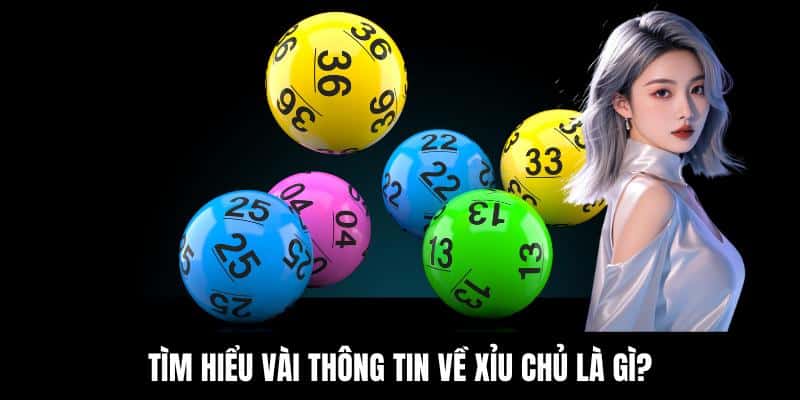 Xỉu Chủ Là Gì - Trải Nghiệm Game Bài Giải Trí Hấp Dẫn - hovigu Xỉu Chủ Là Gì - Trải Nghiệm Game Bài Giải Trí Hấp Dẫn - hovigu