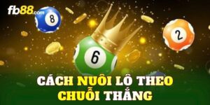 Cẩm Nang - FB88 Nhà Cái - hovigu