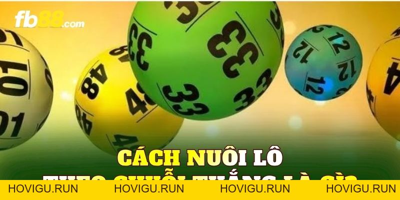 Cách Nuôi Lô Theo Chuỗi Thắng Và Kiến Thức Cần Biết - hovigu