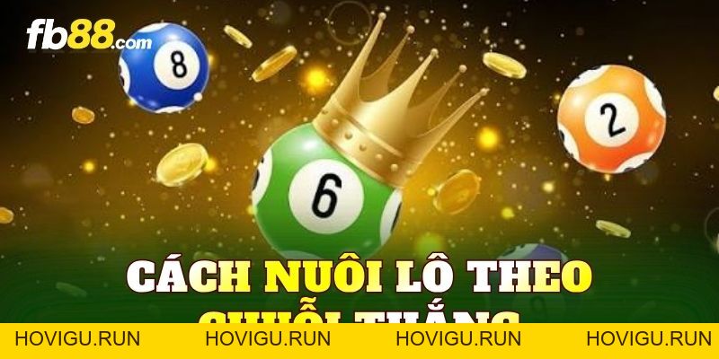 Cách Nuôi Lô Theo Chuỗi Thắng Và Kiến Thức Cần Biết - hovigu