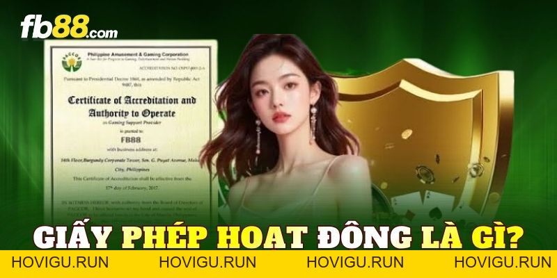 Giấy Phép Hoạt Động FB88 – Nhà Cái Hợp Pháp Chuẩn Quốc Tế - hovigu