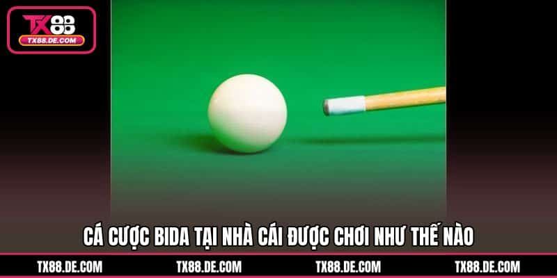 Cá Cược Bida TX88 Bắt Chuẩn Thế Bi Chốt Cửa Cực Nhanh - hovigu Cá Cược Bida TX88 Bắt Chuẩn Thế Bi Chốt Cửa Cực Nhanh - hovigu