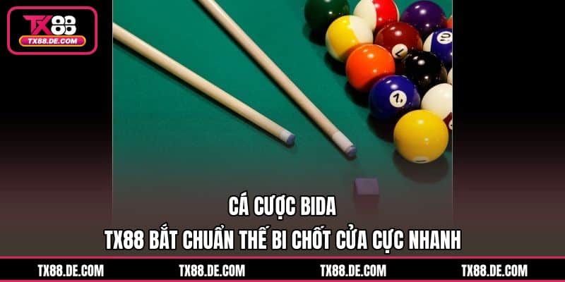 Cá Cược Bida TX88 Bắt Chuẩn Thế Bi Chốt Cửa Cực Nhanh - hovigu Cá Cược Bida TX88 Bắt Chuẩn Thế Bi Chốt Cửa Cực Nhanh - hovigu
