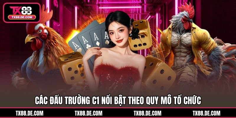 Đá Gà Cựa Dao C1 TX88 - Từng Ván Đấu Chiến Kê Mãn Nhãn - hovigu Đá Gà Cựa Dao C1 TX88 - Từng Ván Đấu Chiến Kê Mãn Nhãn - hovigu