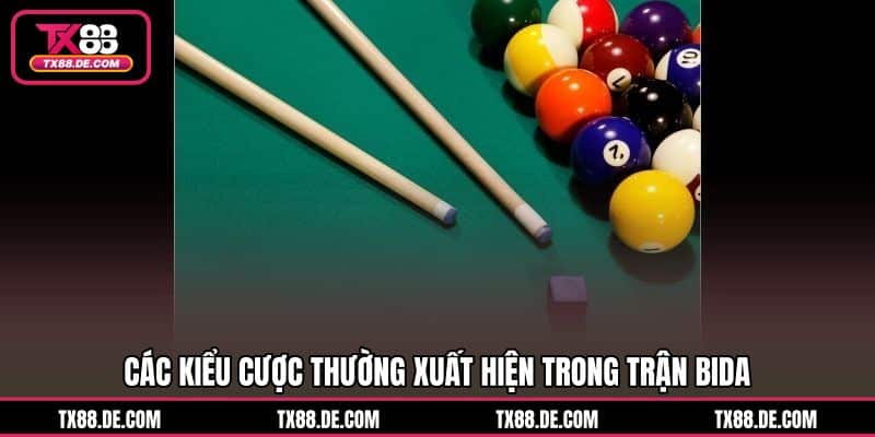 Cá Cược Bida TX88 Bắt Chuẩn Thế Bi Chốt Cửa Cực Nhanh - hovigu Cá Cược Bida TX88 Bắt Chuẩn Thế Bi Chốt Cửa Cực Nhanh - hovigu