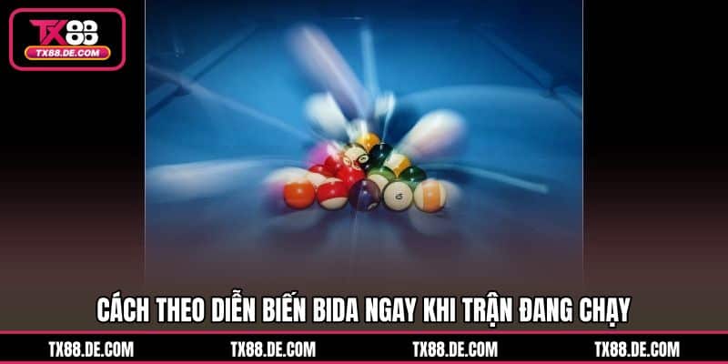 Cá Cược Bida TX88 Bắt Chuẩn Thế Bi Chốt Cửa Cực Nhanh - hovigu Cá Cược Bida TX88 Bắt Chuẩn Thế Bi Chốt Cửa Cực Nhanh - hovigu