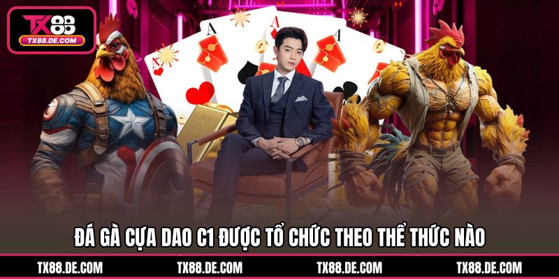 Đá Gà Cựa Dao C1 TX88 - Từng Ván Đấu Chiến Kê Mãn Nhãn - hovigu Đá Gà Cựa Dao C1 TX88 - Từng Ván Đấu Chiến Kê Mãn Nhãn - hovigu