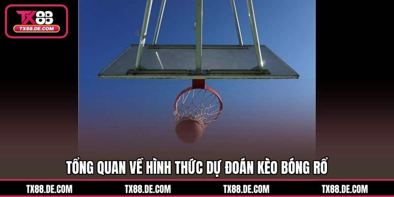 Kèo Bóng Rổ TX88 - Theo Sát Tỷ Số Chốt Cửa Đầy Tự Tin - hovigu Kèo Bóng Rổ TX88 - Theo Sát Tỷ Số Chốt Cửa Đầy Tự Tin - hovigu
